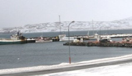 Tilboð opnuð í endurgerð trébryggju við suðurgarð