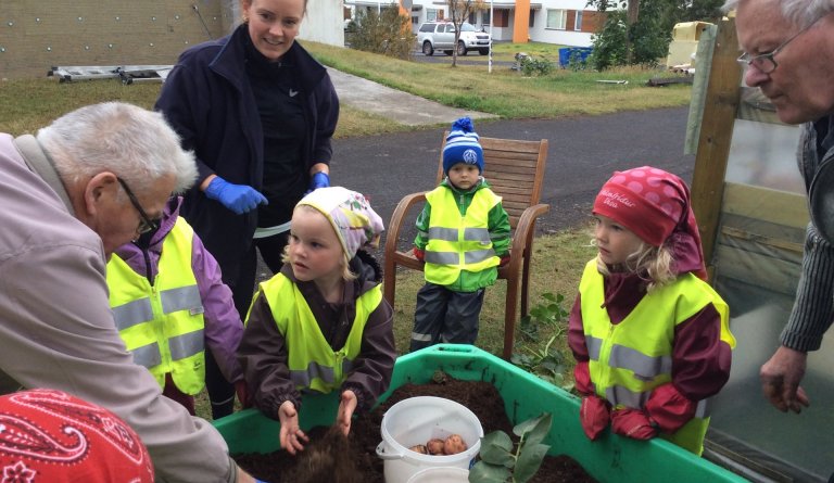Nemendur Hólakots og heimilsfólk á Dalbæ taka upp kartöflur