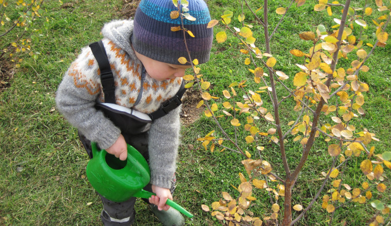 Umhverfissáttmálinn í Krílakoti