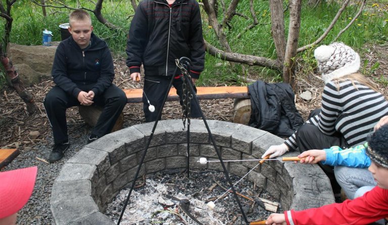 Vikan 31.okt - 7.nóv