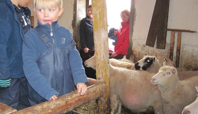 Sveitaferð á Sökku