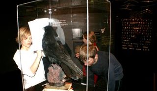 Ungir fuglafræðingar