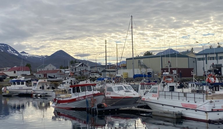 Lokun í þjónustuveri Dalvíkurbyggðar.