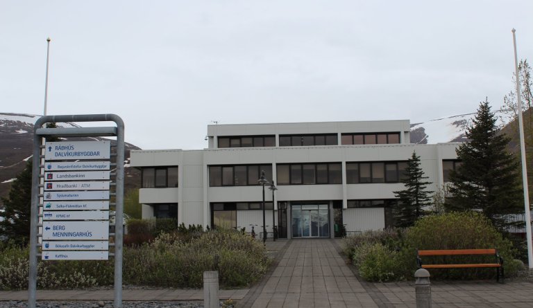 Fjárhagsáætlunargerð 2021