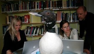 Unnið fram á nætur á Húsabakka