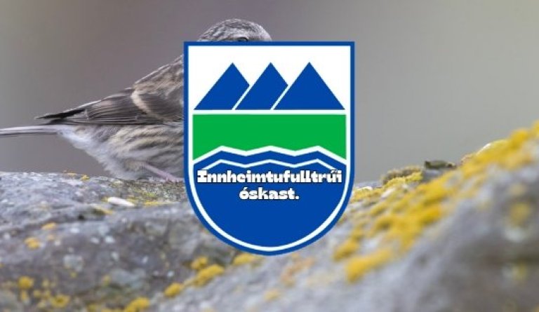 Innheimtufulltrúi óskast - Ath framlengdur umsóknarfrestur.