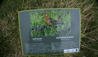 Fuglaskiltin komin upp