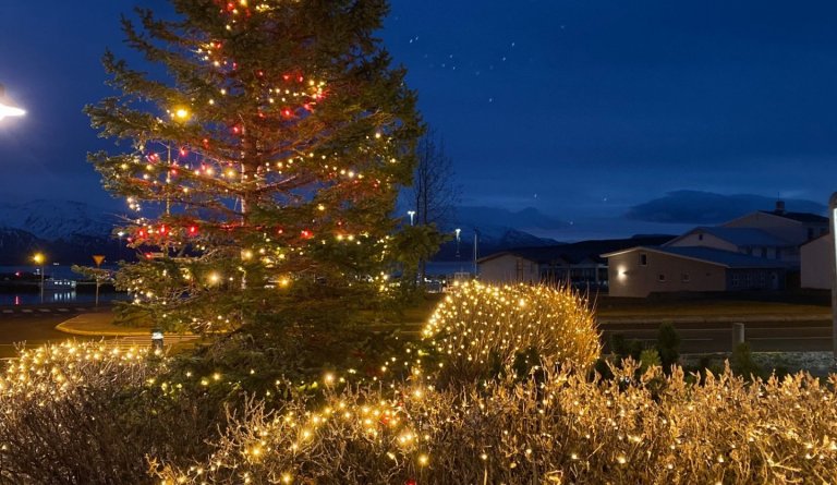 Jólaskreytingarsamkeppni í Dalvíkurbyggð 2020