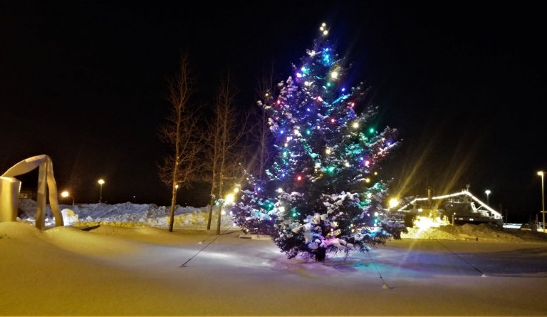 Jólatréð í froststillum