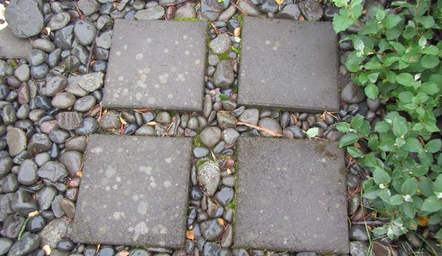 Skimað eftir formum í útikennslu