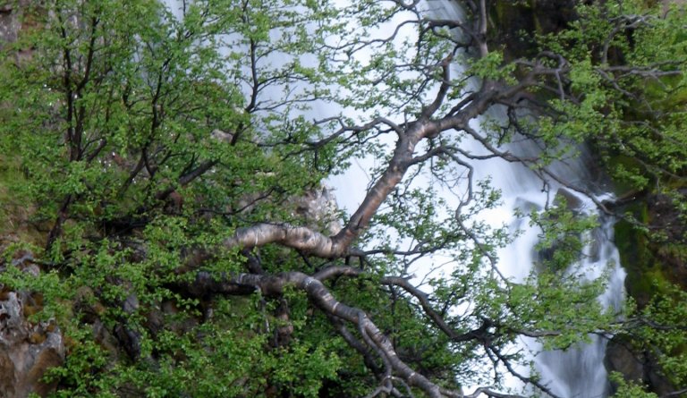 Heitavatnslaust frá Húsabakka - Hreiðarsstaðakoti