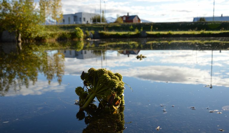 Ársreikningur Dalvíkurbyggðar 2019