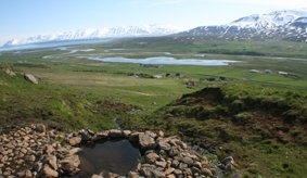 Fótlaug Bakkabræðra og tásustígurinn - tvær perlur