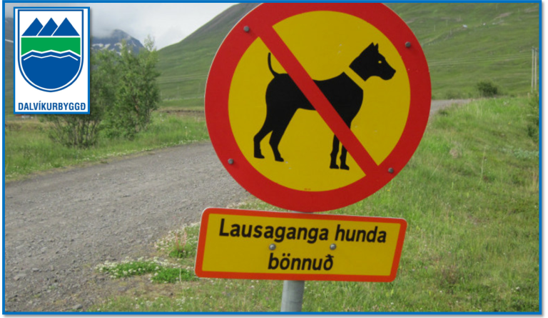Tilkynning vegna lausagöngu hunda.