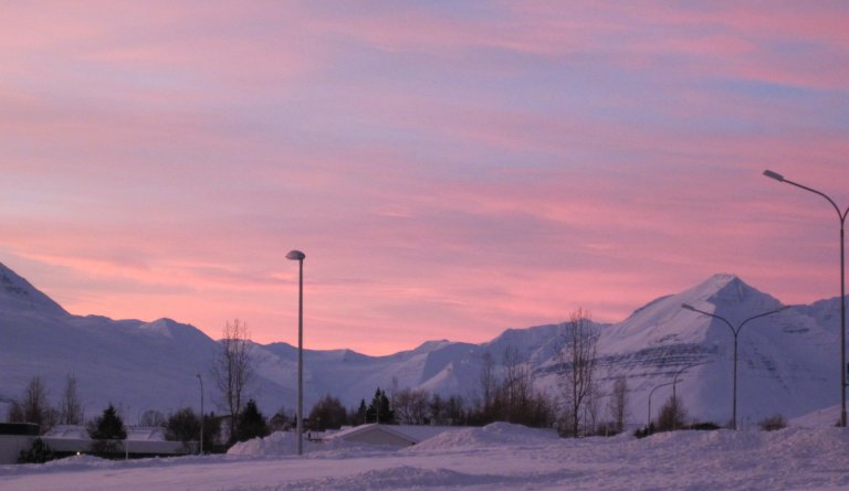 Bein símanúmer deilda