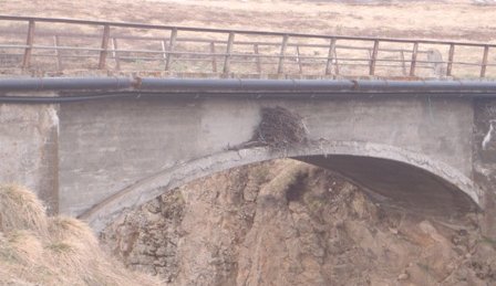 Gönguferð - krummahreiður 24. maí 2012