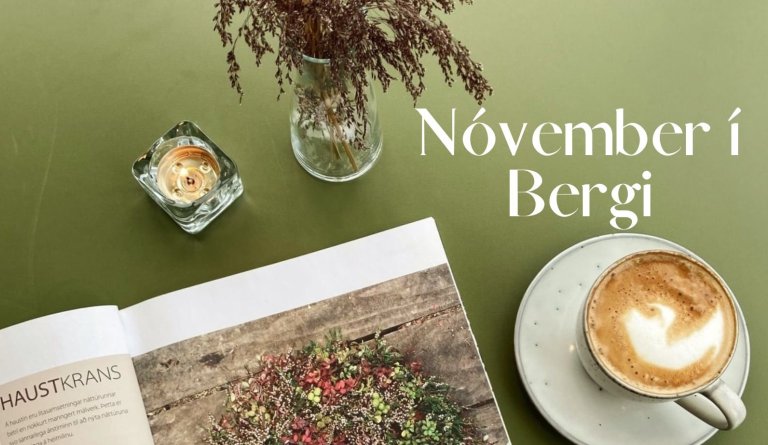 Dagskrá Nóvember mánaðar í Bergi