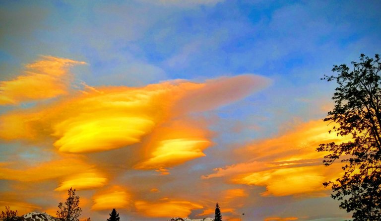 Lóðaúthlutanir í Dalvíkurbyggð