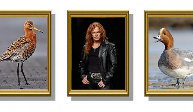 Áramótakveðja frá Náttúrusetrinu á Húsabakka