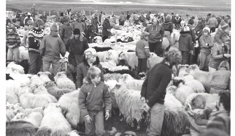 Mynd frá Héraðskjalasafni Svarfdæla