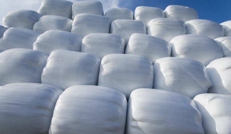 Baggaplast tekið fimmtudaginn 22. febrúar