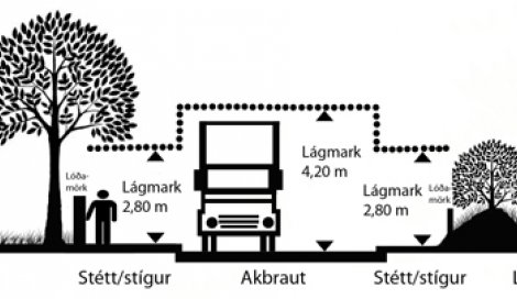 Tré og runnar við götur og gangstéttar -Er ekki kominn tími til að klippa?