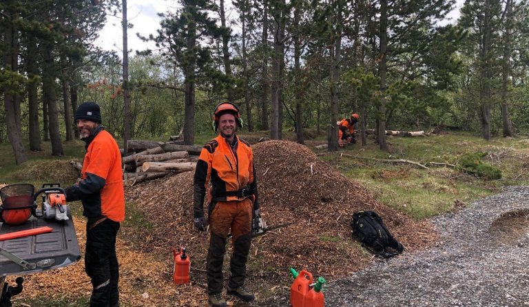 Skógarhöggsvinna og grisjun hafin í Brúarhvammsreit