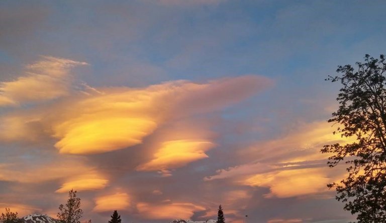 356. fundur sveitarstjórnar