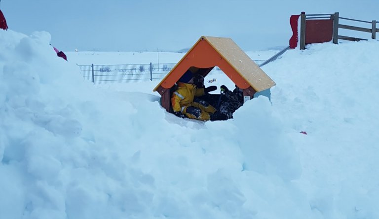 Annríki í snjónum