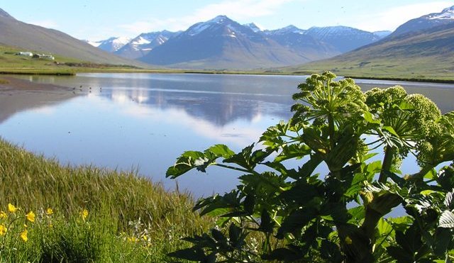 Varanlegt slitlag komið á Svarfaðardalshringinn!