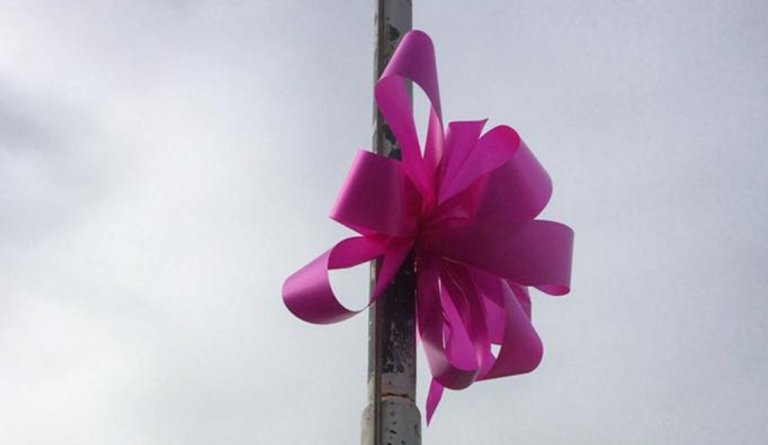 Lionsklúbburinn Sunna selur bleikar slaufur