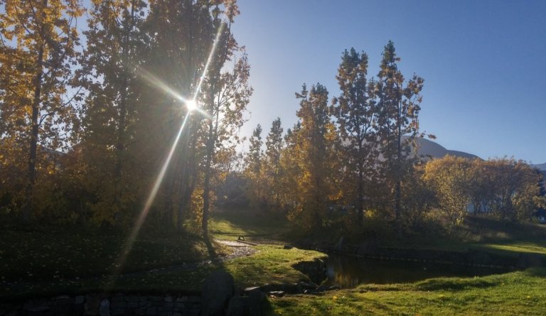 Laust til umsóknar - Leikskólakennarar / leiðbeinendur - Krílakot