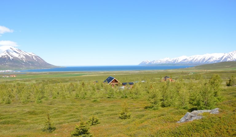 Sumarhúsalóðir í Dalvíkurbyggð