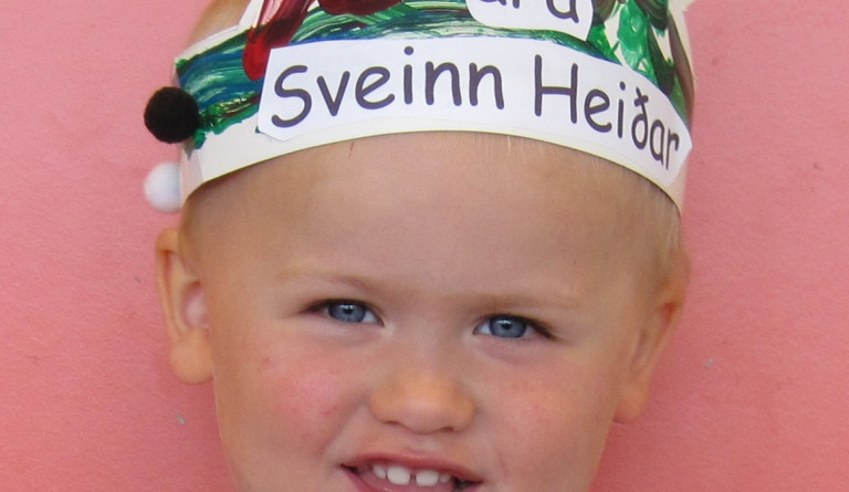 Sveinn Heiðar 3 ára