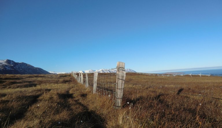 Tilboð óskast í girðingarvinnu