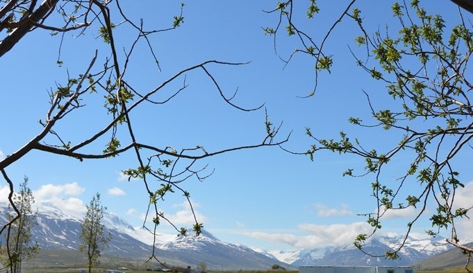 Auglýst eftir rekstraraðila að tjaldsvæði