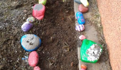 Comenius - Túlipanar