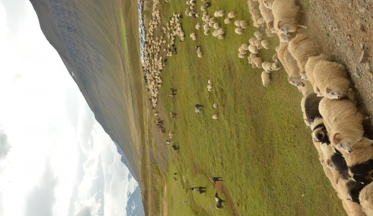 Tungurétt vígð í blíðskaparveðri