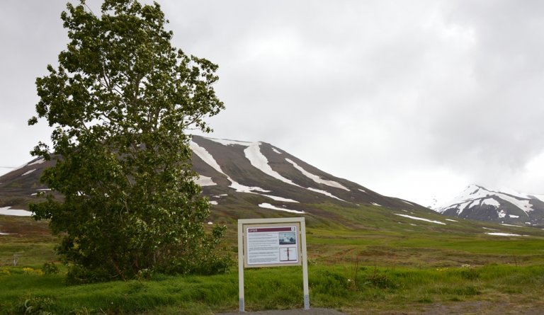 Upplýsingarskilti um Upsi