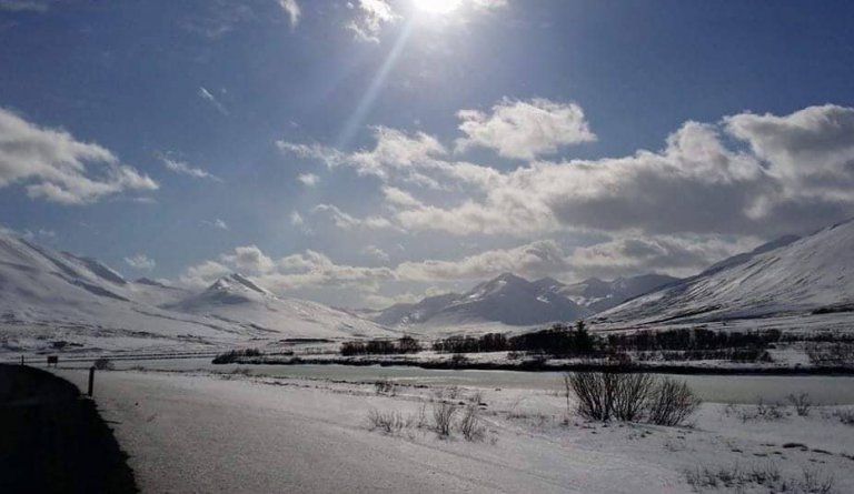Laust til umsóknar - 100% staða almenns starfsmanns eigna- og framkvæmdadeildar