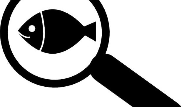 Íbúafundur í Dalvíkurbyggð um málefni er snúa að laxeldi