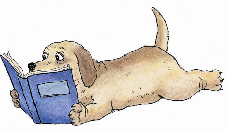 Fréttabréf í janúar 2014