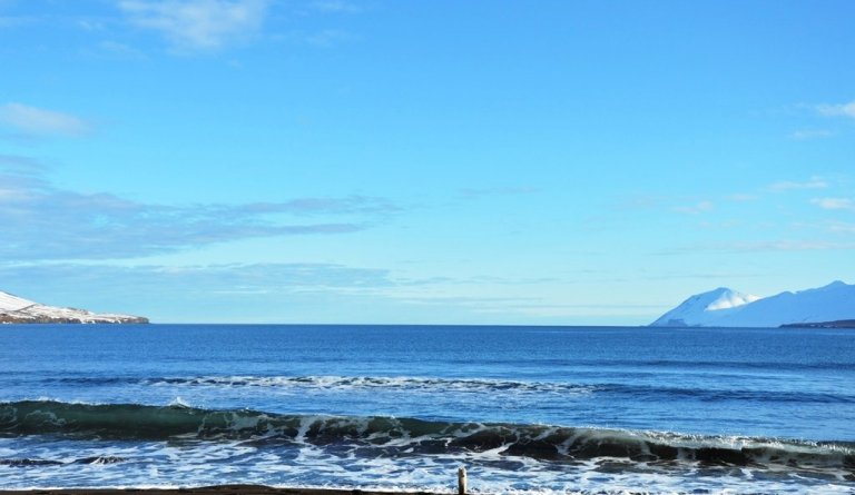 COVID-19 - Leiðbeiningar/Instructions/Instrukcje