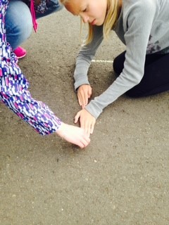 8. bekkur í stærðfræði