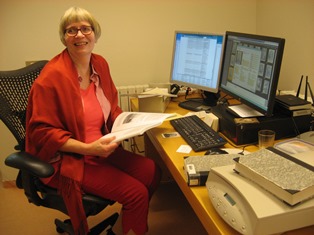 Að skrásetja söguna