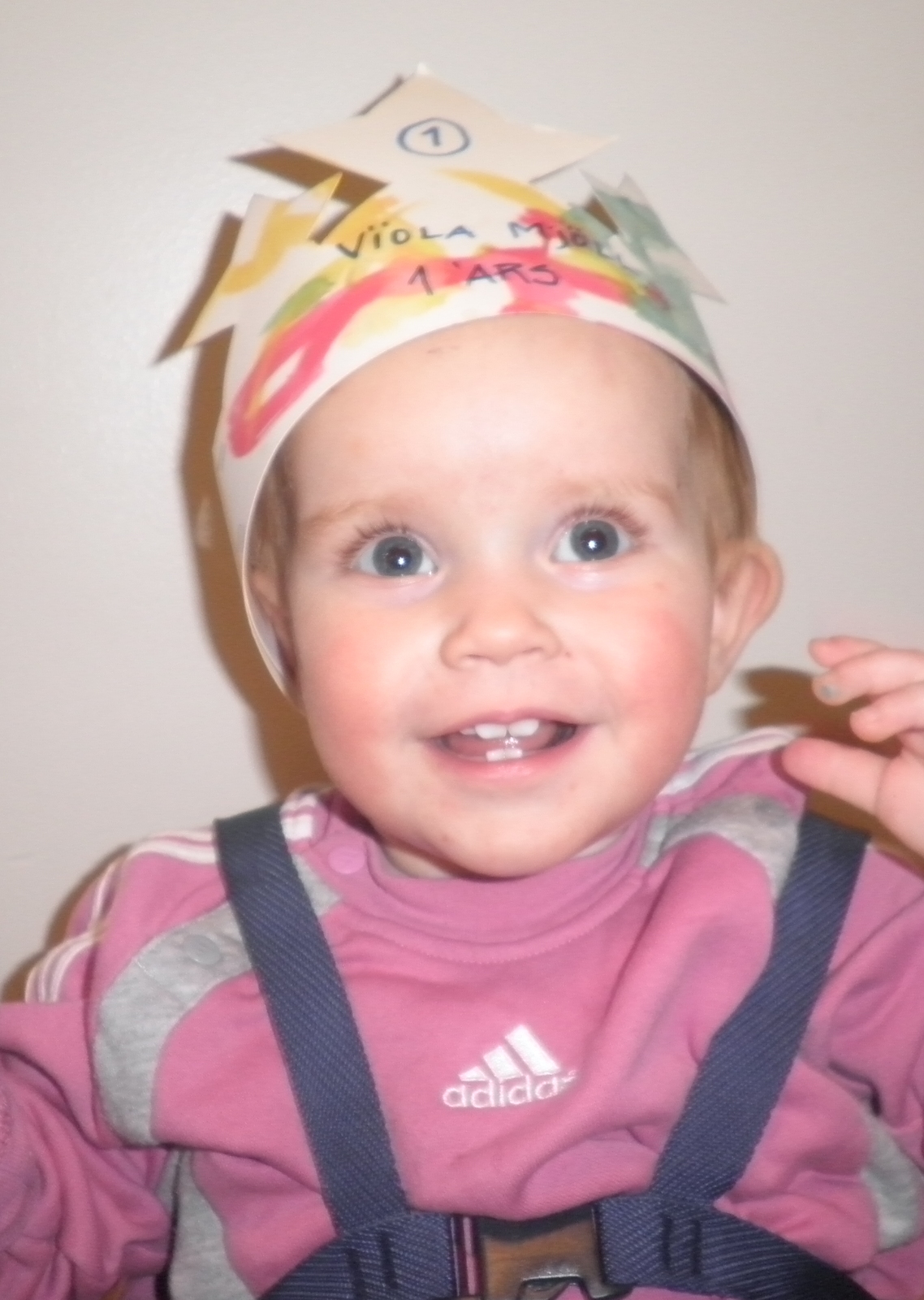 Víóla Mjöll 1 árs